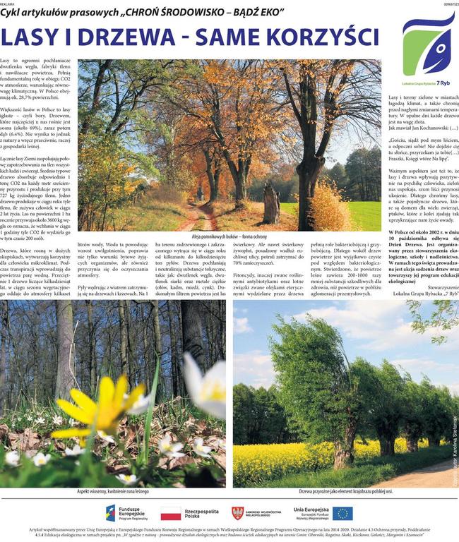 Artykuł 2 o tematyce „DENDROLOGIA, CZYLI CO WIEMY O DRZEWACH