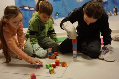 (link otworzy duże zdjęcie)