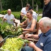 Czytaj więcej