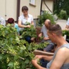  (link otworzy duże zdjęcie)