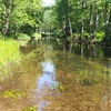 Czytaj więcej
