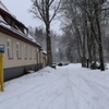  (link otworzy duże zdjęcie)