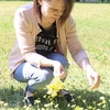  (link otworzy duże zdjęcie)