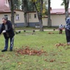  (link otworzy duże zdjęcie)