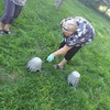 Malowanie donicy